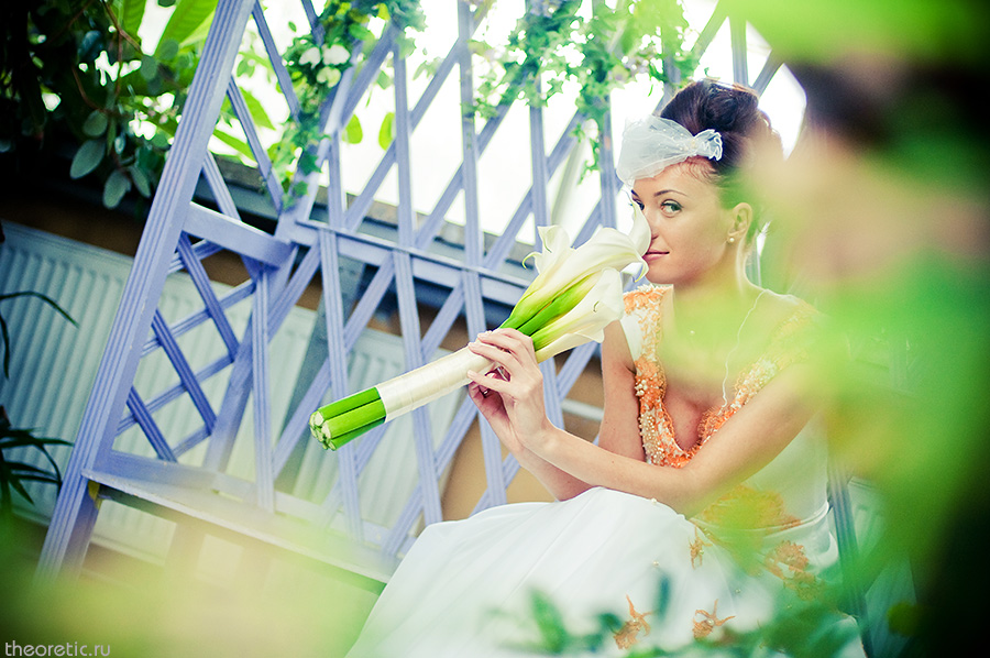 �������� ������� theoretic �����